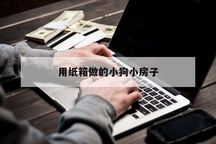 用纸箱做的小狗小房子（用纸箱制作狗房子）