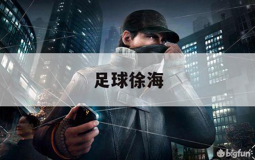 足球徐海（徐亿海足球）