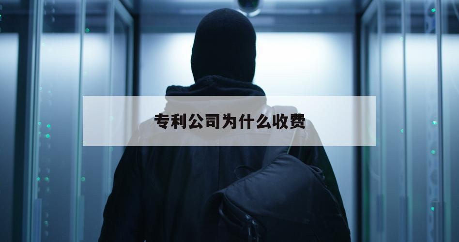 专利公司为什么收费（怎么收专利费）