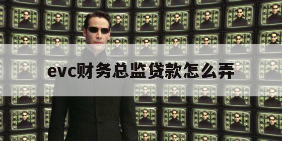 evc财务总监贷款怎么弄（evc实战平台财务总监）