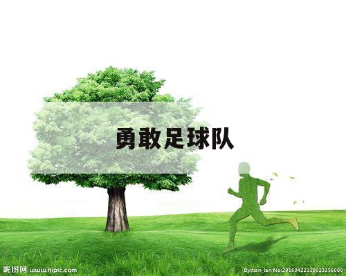 勇敢足球队（超智能足球勇进队）