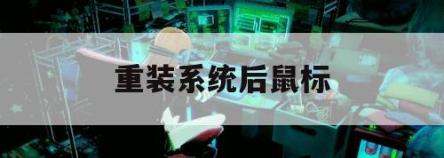 重装系统后鼠标（重装系统后鼠标键盘全部失灵的原因）