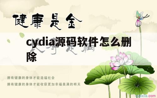 cydia源码软件怎么删除（cydia哪些源不可以删）