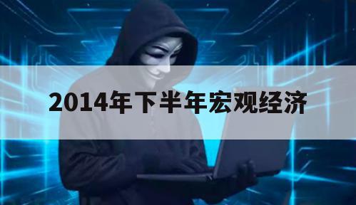 2014年下半年宏观经济（2014年宏观经济形势）