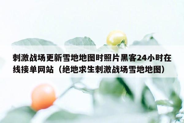 刺激战场更新雪地地图时照片黑客24小时在线接单网站（绝地求生刺激战场雪地地图）