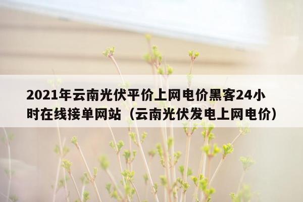 2021年云南光伏平价上网电价黑客24小时在线接单网站（云南光伏发电上网电价）