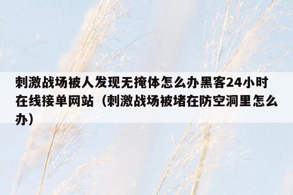 刺激战场被人发现无掩体怎么办黑客24小时在线接单网站（刺激战场被堵在防空洞里怎么办）