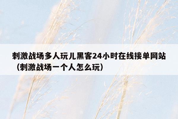 刺激战场多人玩儿黑客24小时在线接单网站（刺激战场一个人怎么玩）