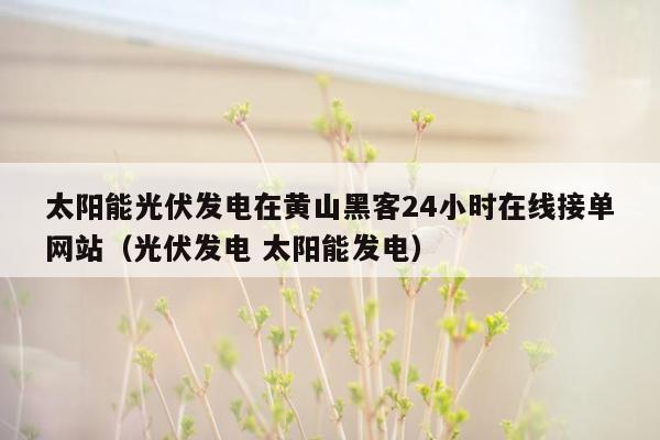 太阳能光伏发电在黄山黑客24小时在线接单网站（光伏发电 太阳能发电）