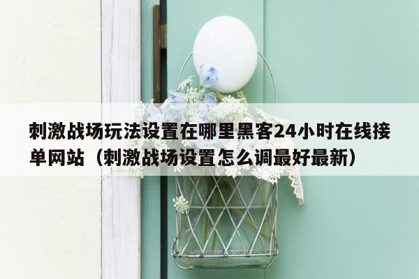 刺激战场玩法设置在哪里黑客24小时在线接单网站（刺激战场设置怎么调最好最新）