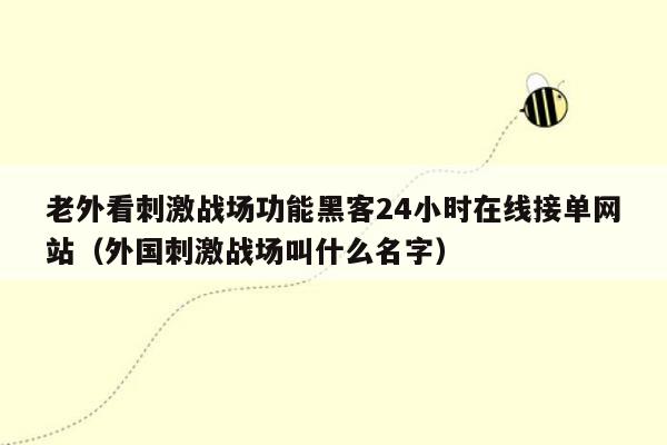 老外看刺激战场功能黑客24小时在线接单网站（外国刺激战场叫什么名字）