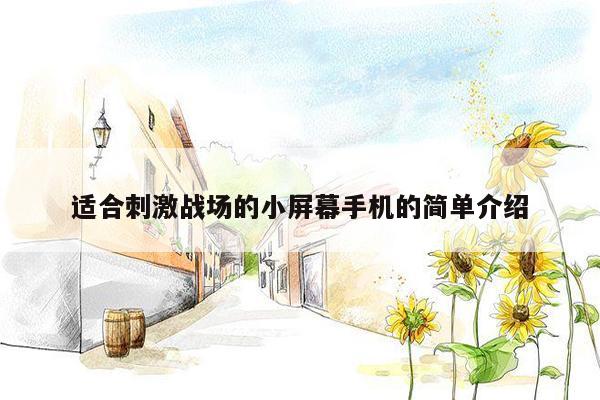 适合刺激战场的小屏幕手机的简单介绍