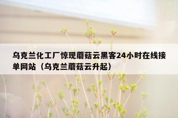 乌克兰化工厂惊现蘑菇云黑客24小时在线接单网站（乌克兰蘑菇云升起）