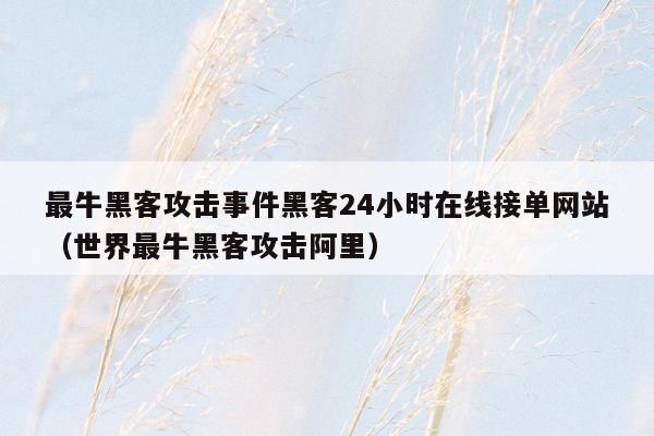 最牛黑客攻击事件黑客24小时在线接单网站（世界最牛黑客攻击阿里）