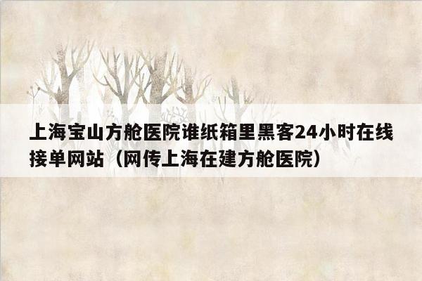 上海宝山方舱医院谁纸箱里黑客24小时在线接单网站（网传上海在建方舱医院）