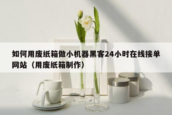 如何用废纸箱做小机器黑客24小时在线接单网站（用废纸箱制作）