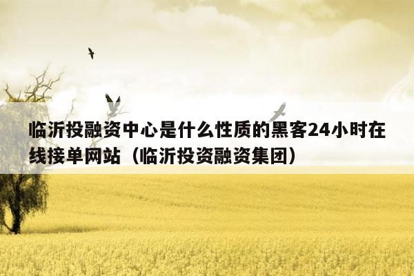临沂投融资中心是什么性质的黑客24小时在线接单网站（临沂投资融资集团）