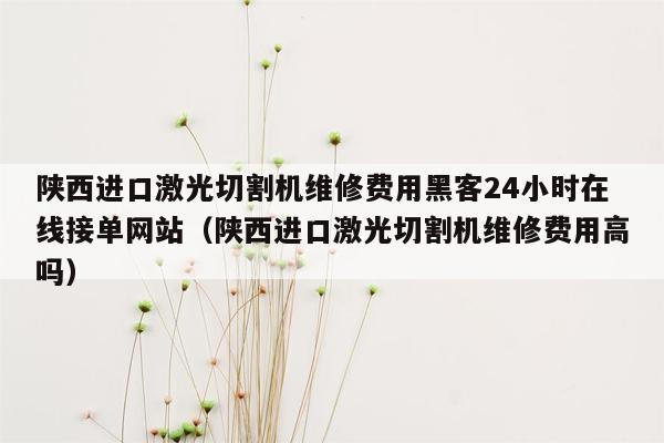 陕西进口激光切割机维修费用黑客24小时在线接单网站（陕西进口激光切割机维修费用高吗）
