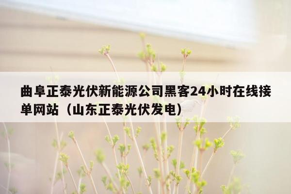 曲阜正泰光伏新能源公司黑客24小时在线接单网站（山东正泰光伏发电）