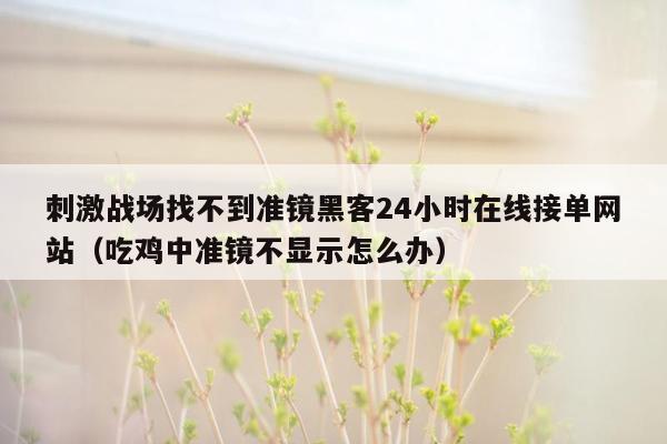 刺激战场找不到准镜黑客24小时在线接单网站（吃鸡中准镜不显示怎么办）