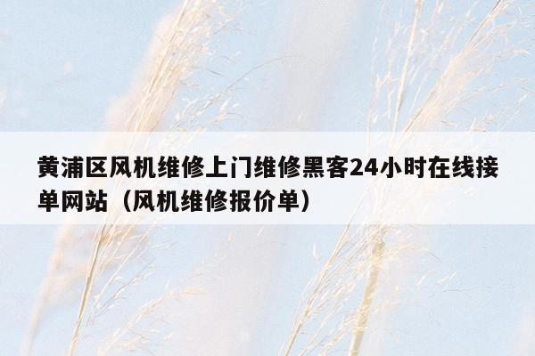 黄浦区风机维修上门维修黑客24小时在线接单网站（风机维修报价单）