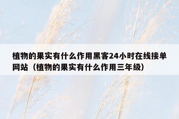 植物的果实有什么作用黑客24小时在线接单网站（植物的果实有什么作用三年级）