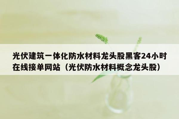光伏建筑一体化防水材料龙头股黑客24小时在线接单网站（光伏防水材料概念龙头股）