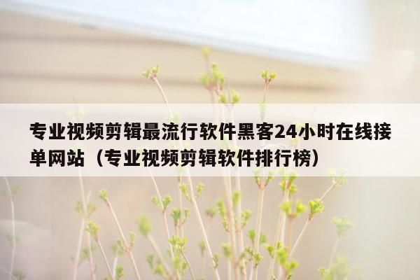 专业视频剪辑最流行软件黑客24小时在线接单网站（专业视频剪辑软件排行榜）