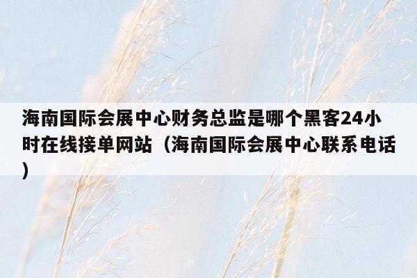 海南国际会展中心财务总监是哪个黑客24小时在线接单网站（海南国际会展中心联系电话）