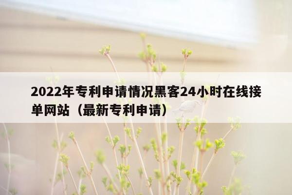 2022年专利申请情况黑客24小时在线接单网站（最新专利申请）