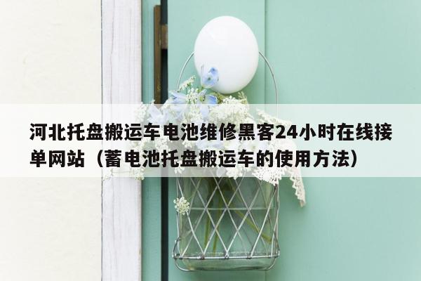河北托盘搬运车电池维修黑客24小时在线接单网站（蓄电池托盘搬运车的使用方法）
