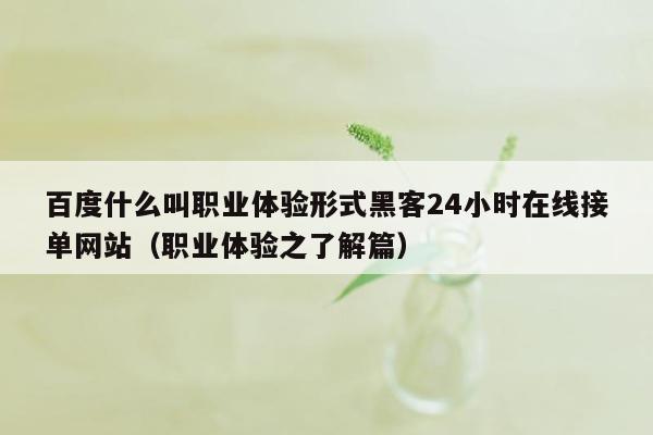 百度什么叫职业体验形式黑客24小时在线接单网站（职业体验之了解篇）