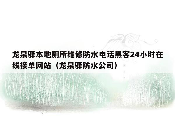 龙泉驿本地厕所维修防水电话黑客24小时在线接单网站（龙泉驿防水公司）