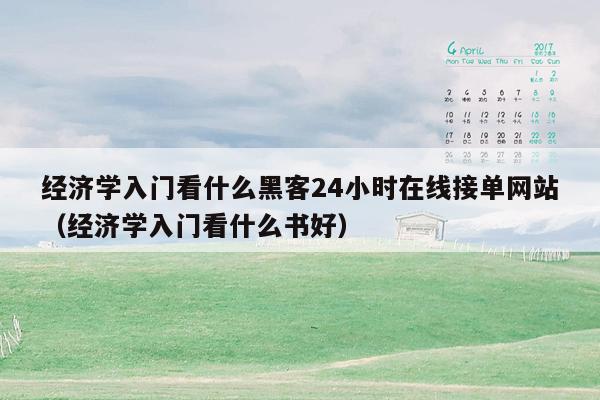 经济学入门看什么黑客24小时在线接单网站（经济学入门看什么书好）