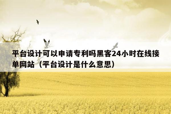 平台设计可以申请专利吗黑客24小时在线接单网站（平台设计是什么意思）