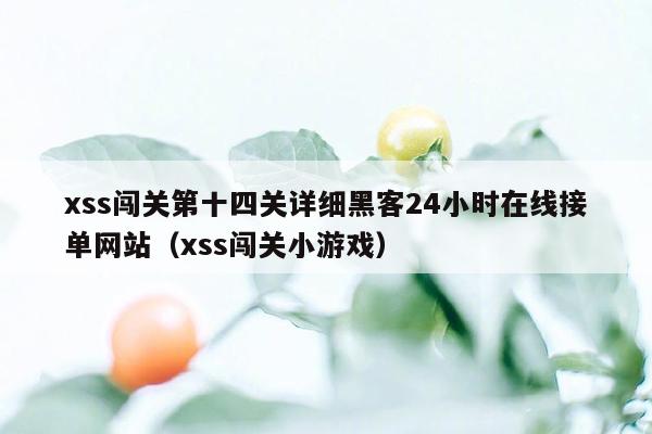 xss闯关第十四关详细黑客24小时在线接单网站（xss闯关小游戏）