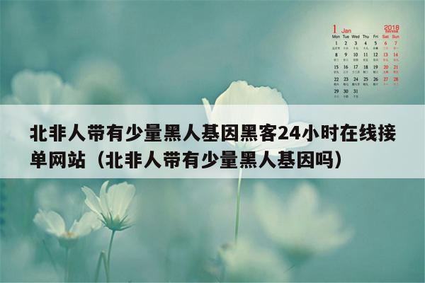 北非人带有少量黑人基因黑客24小时在线接单网站（北非人带有少量黑人基因吗）