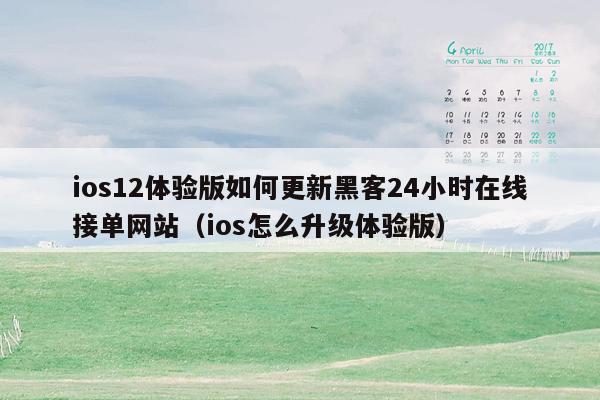ios12体验版如何更新黑客24小时在线接单网站（ios怎么升级体验版）