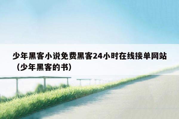 少年黑客小说免费黑客24小时在线接单网站（少年黑客的书）