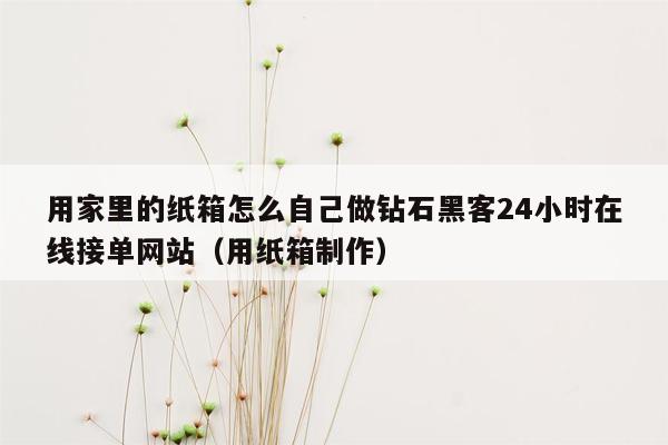 用家里的纸箱怎么自己做钻石黑客24小时在线接单网站（用纸箱制作）