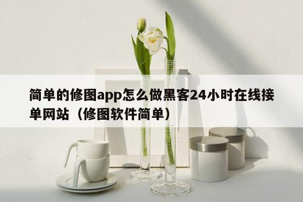 简单的修图app怎么做黑客24小时在线接单网站（修图软件简单）
