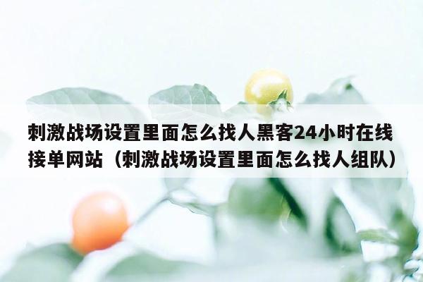 刺激战场设置里面怎么找人黑客24小时在线接单网站（刺激战场设置里面怎么找人组队）