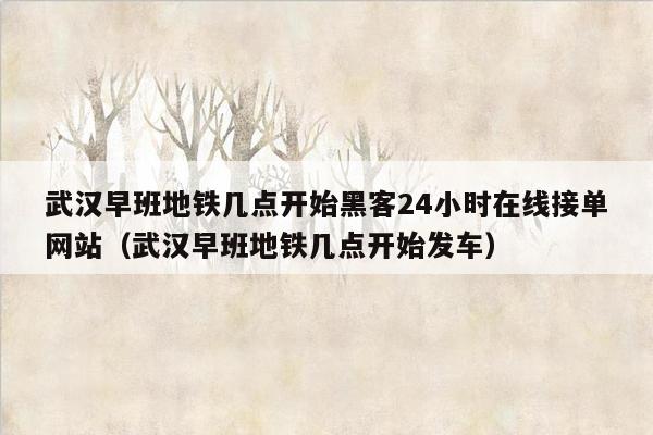 武汉早班地铁几点开始黑客24小时在线接单网站（武汉早班地铁几点开始发车）