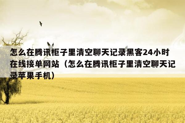 怎么在腾讯柜子里清空聊天记录黑客24小时在线接单网站（怎么在腾讯柜子里清空聊天记录苹果手机）
