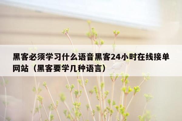 黑客必须学习什么语音黑客24小时在线接单网站（黑客要学几种语言）