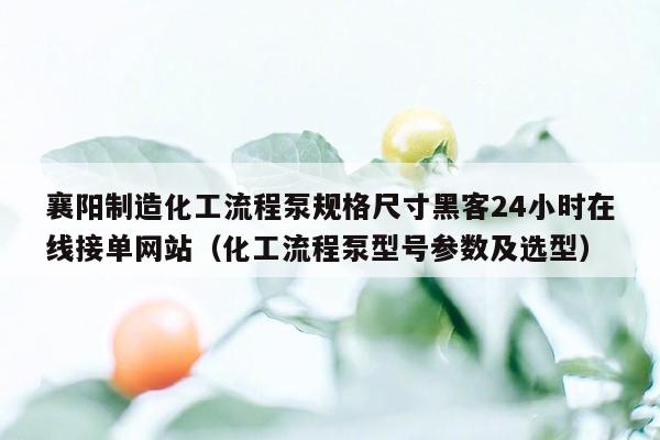 襄阳制造化工流程泵规格尺寸黑客24小时在线接单网站（化工流程泵型号参数及选型）