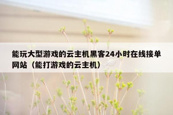 能玩大型游戏的云主机黑客24小时在线接单网站（能打游戏的云主机）