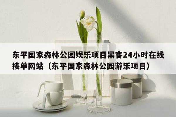 东平国家森林公园娱乐项目黑客24小时在线接单网站（东平国家森林公园游乐项目）