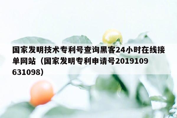 国家发明技术专利号查询黑客24小时在线接单网站（国家发明专利申请号2019109631098）