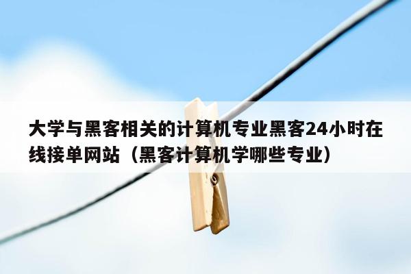 大学与黑客相关的计算机专业黑客24小时在线接单网站（黑客计算机学哪些专业）